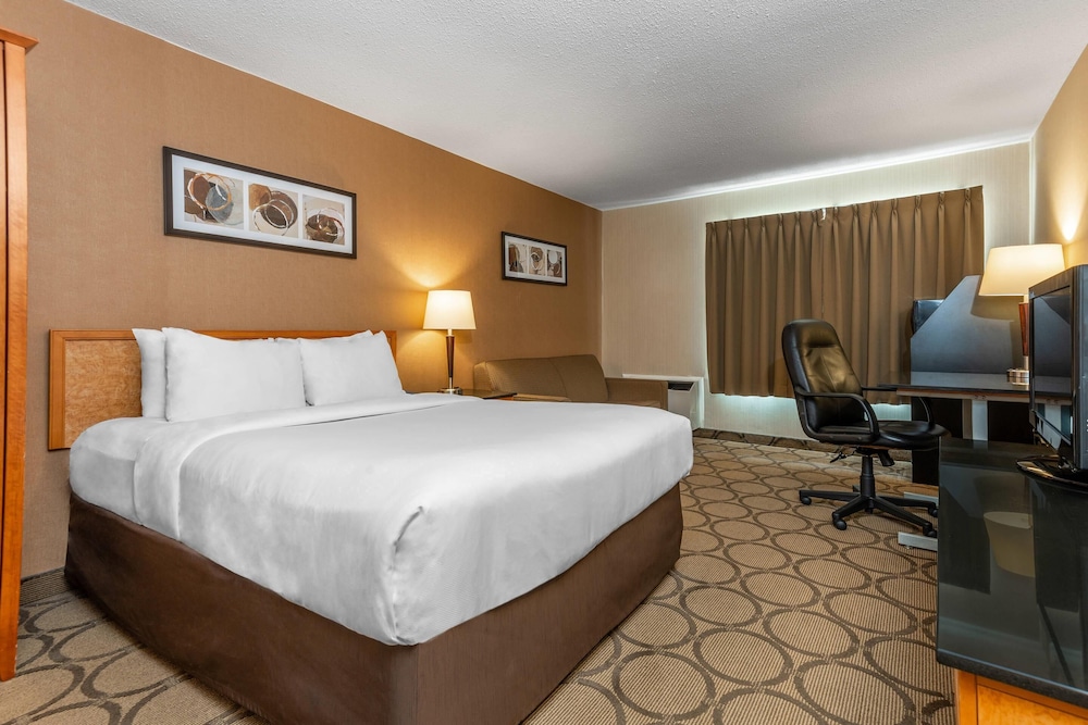 comfort inn south