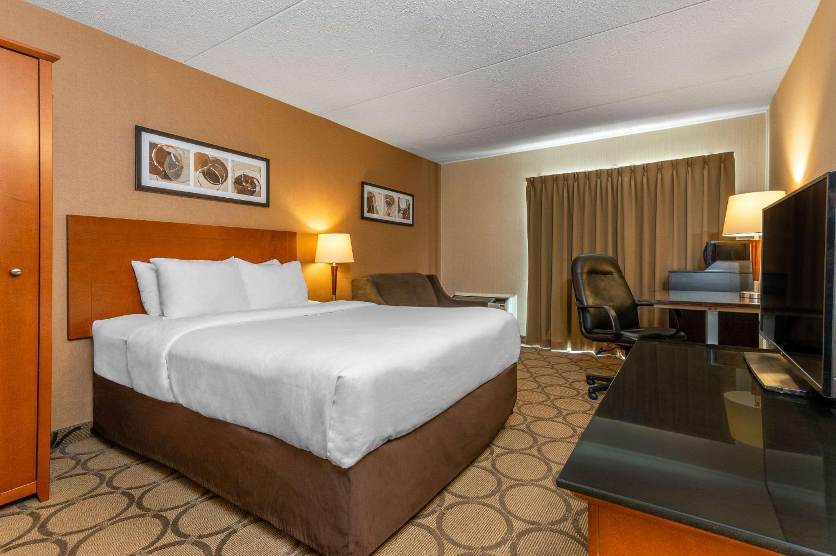 comfort inn south