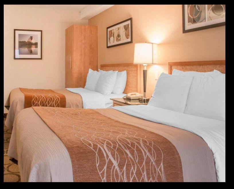 comfort inn south
