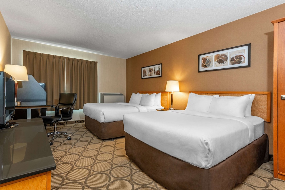 comfort inn south