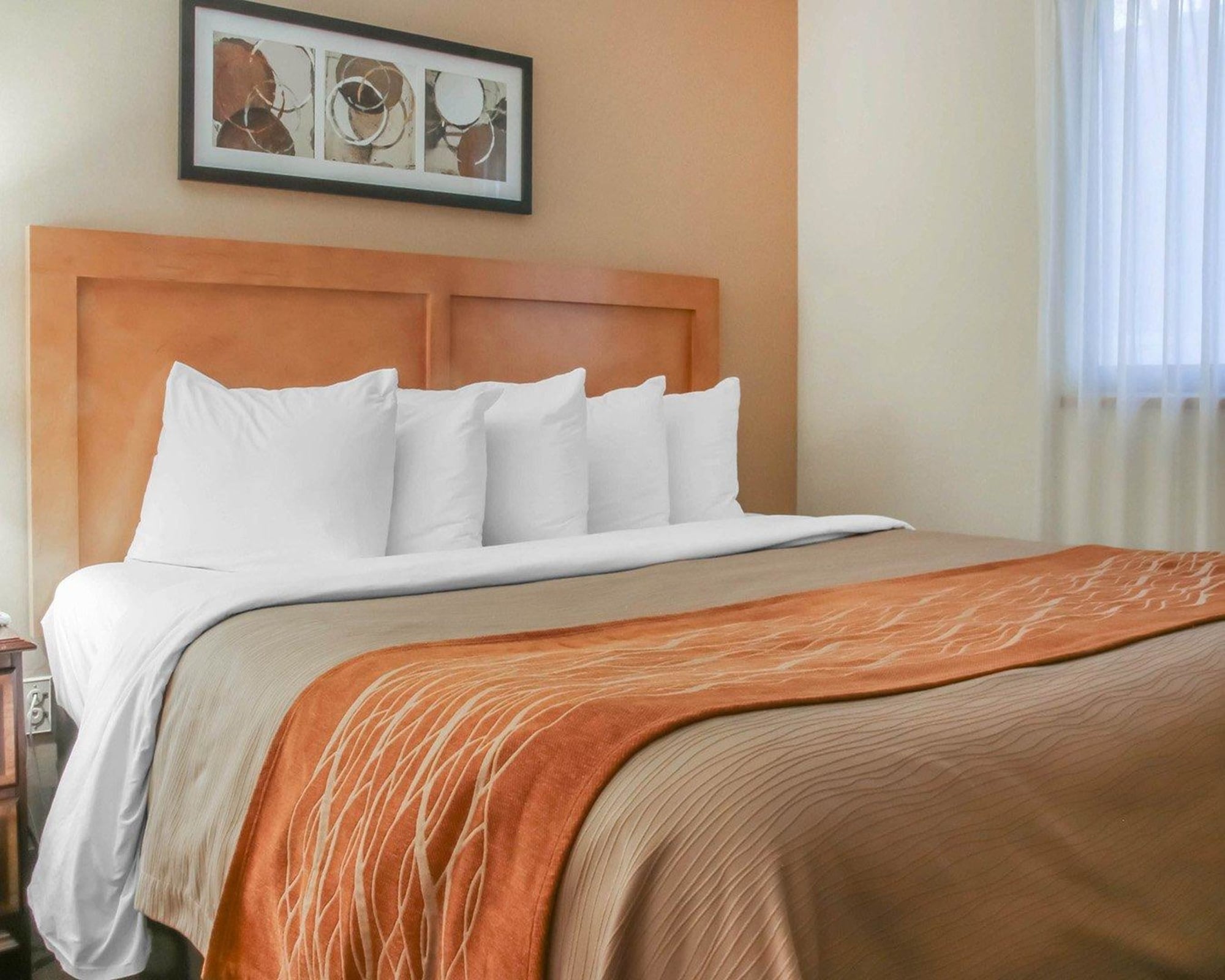comfort inn south