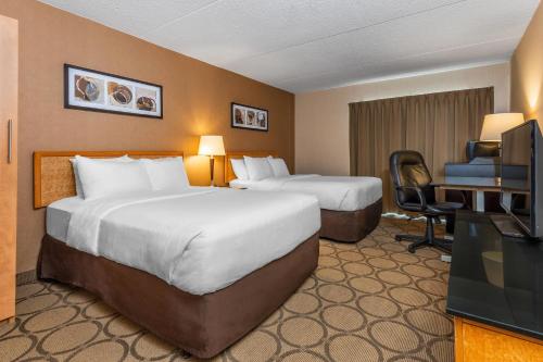 comfort inn south