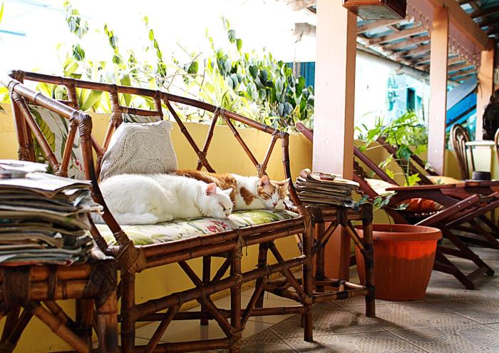 paraty