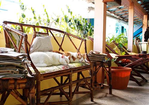 paraty