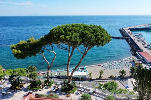 hotel terme cristallo palace and beach