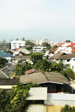 sunshine house