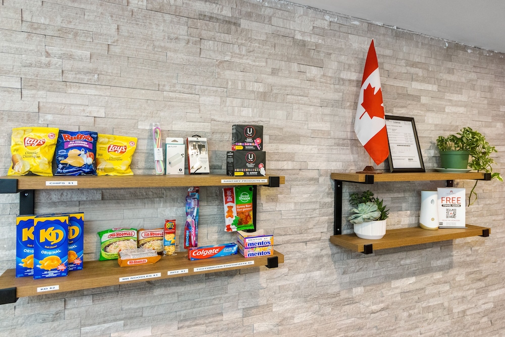 samesun toronto hostel