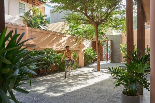 m village the garden