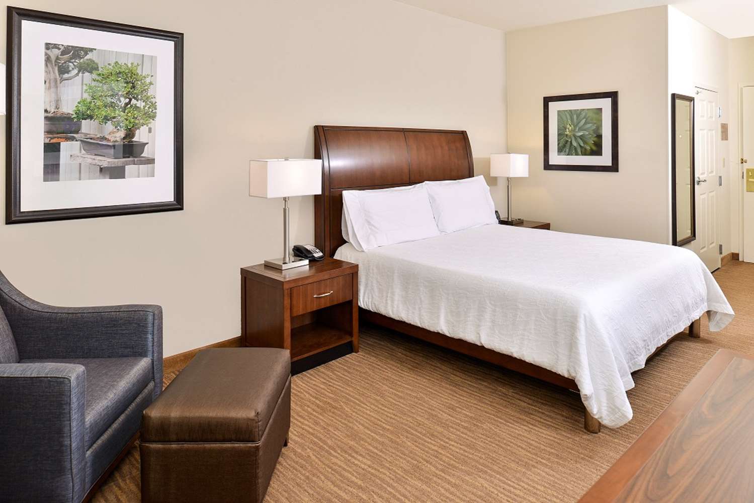 hilton garden inn dallas addison