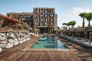 oku ibiza