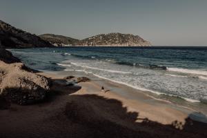 oku ibiza