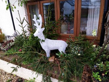 charming gnome cottage in devon near sidmouth