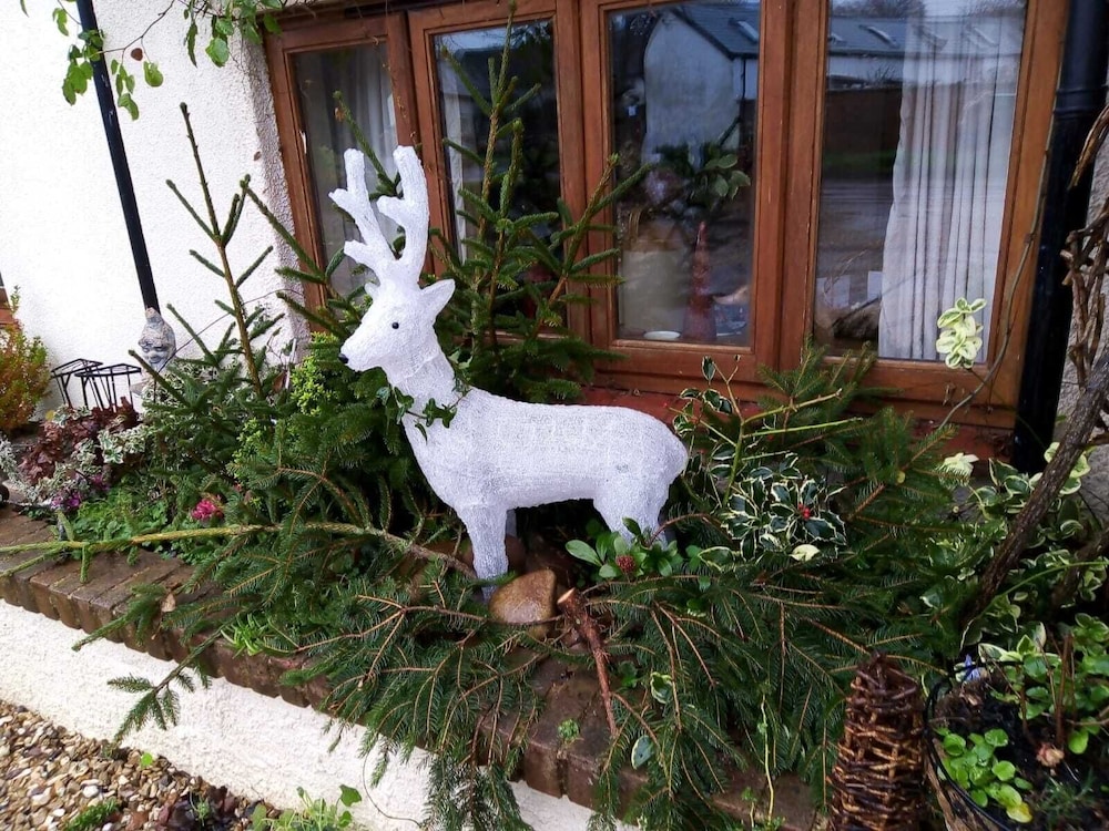 charming gnome cottage in devon near sidmouth