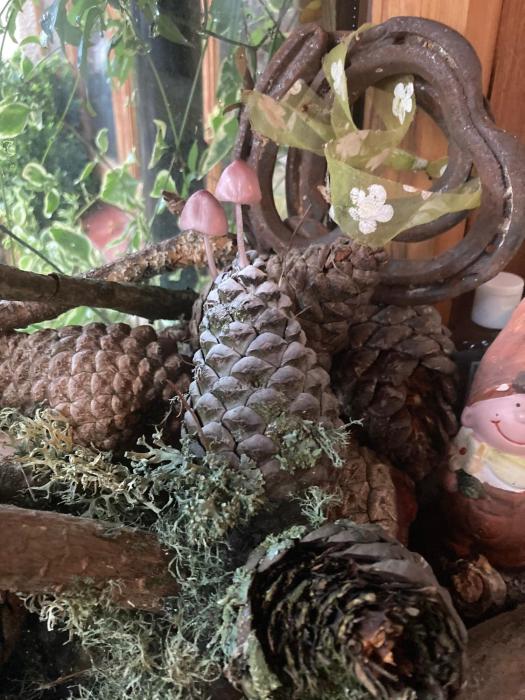 charming gnome cottage in devon near sidmouth