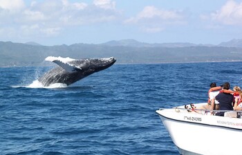 best bed and breakfast in samana