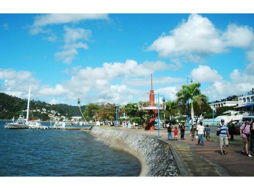 best bed and breakfast in samana