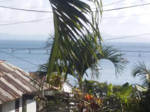 best bed and breakfast in samana