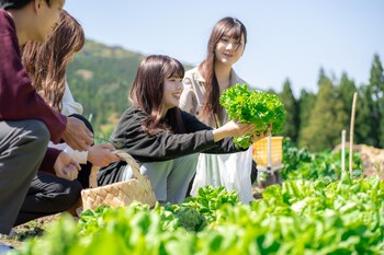 bunkou stay haruhi