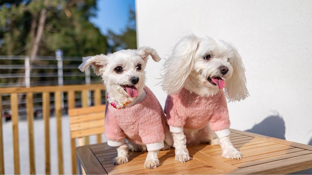 yeosu nukim poolvilla