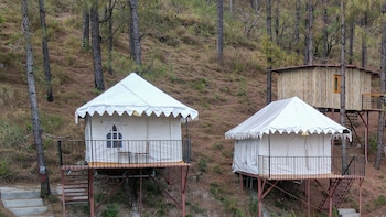 paradise pool resort