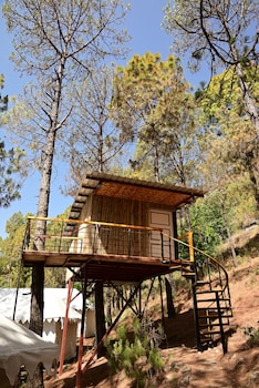 paradise pool resort