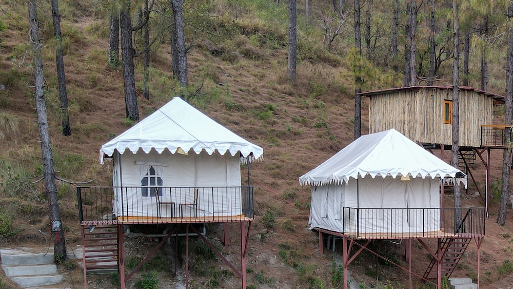 paradise pool resort