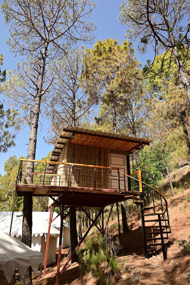 paradise pool resort