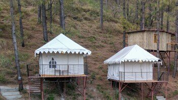 paradise pool resort