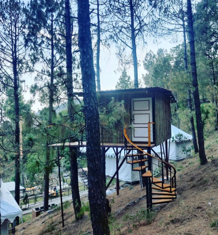 paradise pool resort