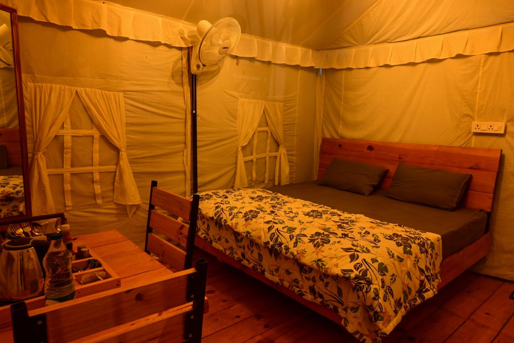 paradise pool resort