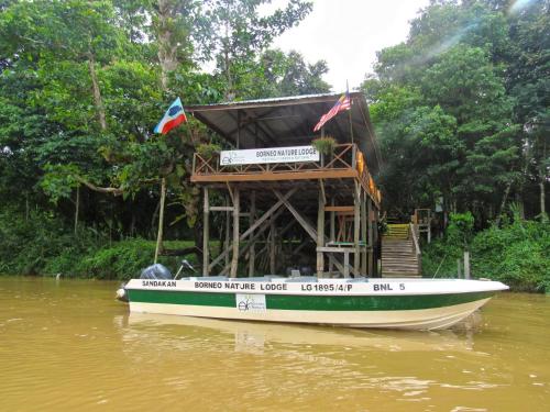 kota kinabatangan