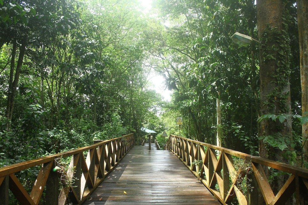 Borneo Nature Lodge,Kota Kinabalu>>Kinabatangan,3 star