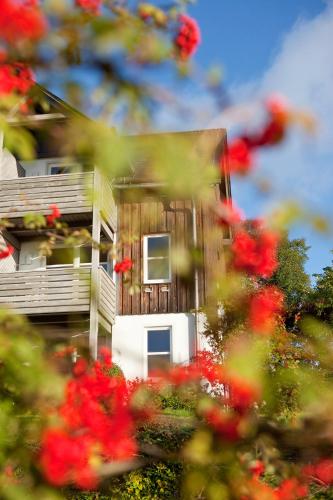hapimag resort winterberg