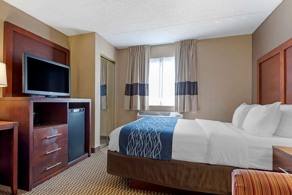 comfort inn university