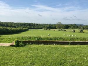 marehay hall farm