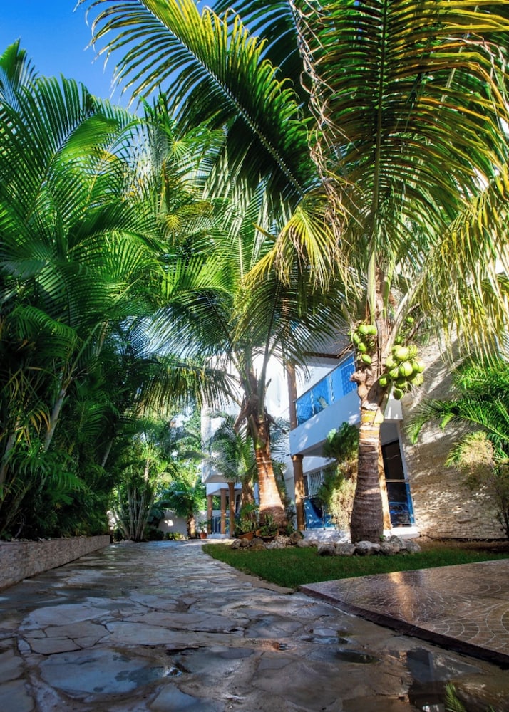 stylish 1r 1b apt near the beach and main street