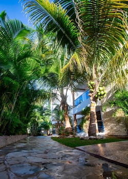 cozy and central apartment 1br 1ba with pool