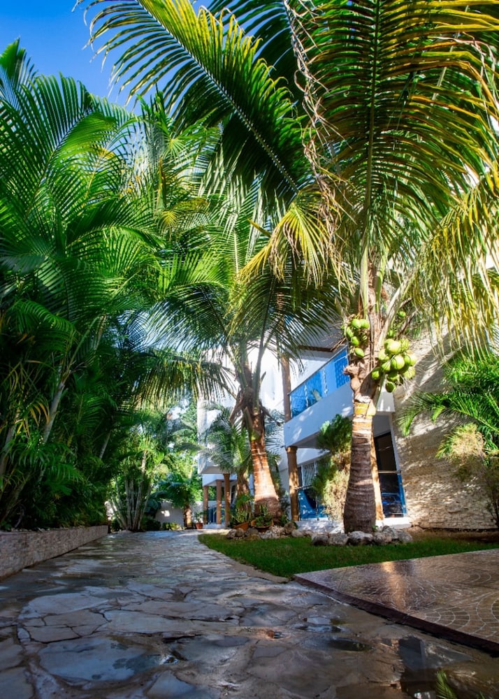 cozy and central apartment 1br 1ba with pool