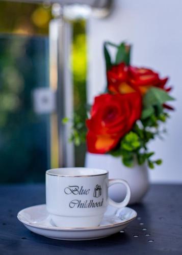 cozy and central apartment 1br 1ba with pool