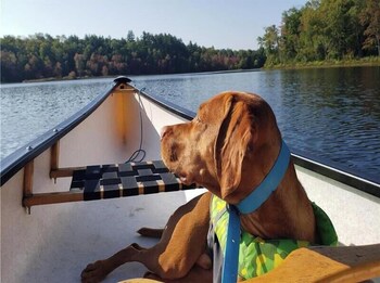 muskoka lakes