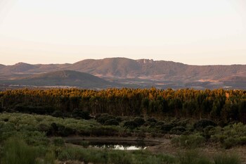 herdade dos abegoes