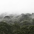 urubici