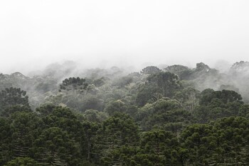 urubici