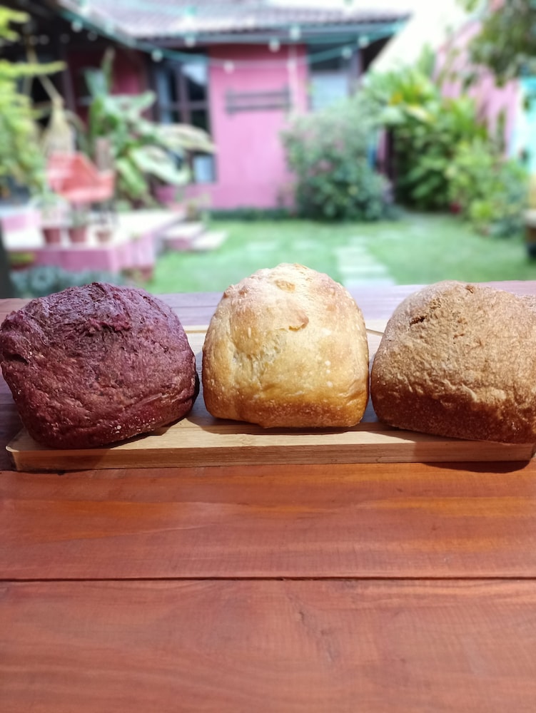 pousada lira praieira