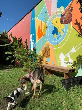 pousada lira praieira