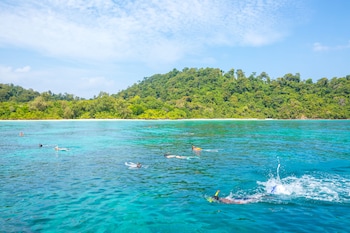 gk palm resort watamu