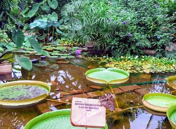 haus der schmetterlinge