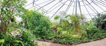 haus der schmetterlinge