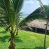 tecolutla