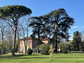 albi
